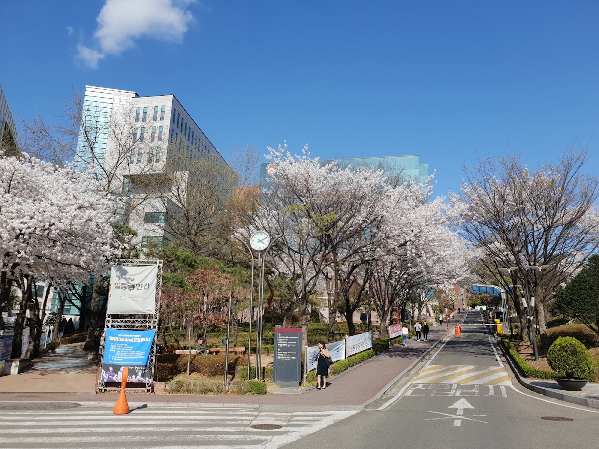 Sogang University photo 7