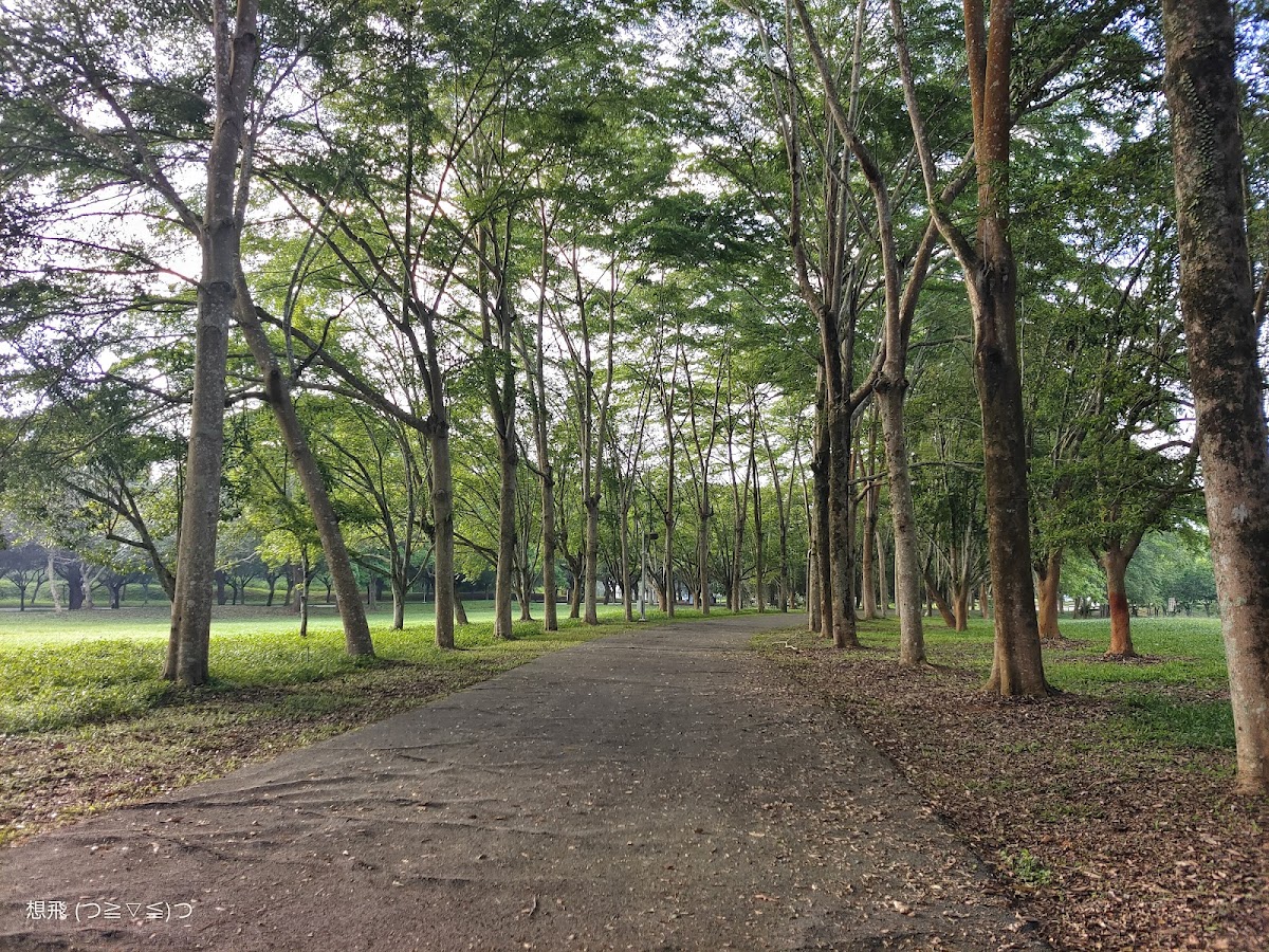 National Chi Nan University photo 7