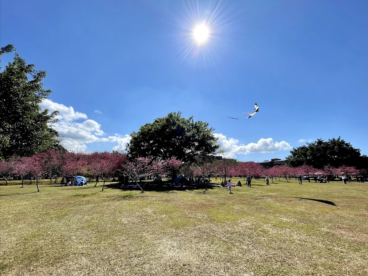 National Chi Nan University photo 9