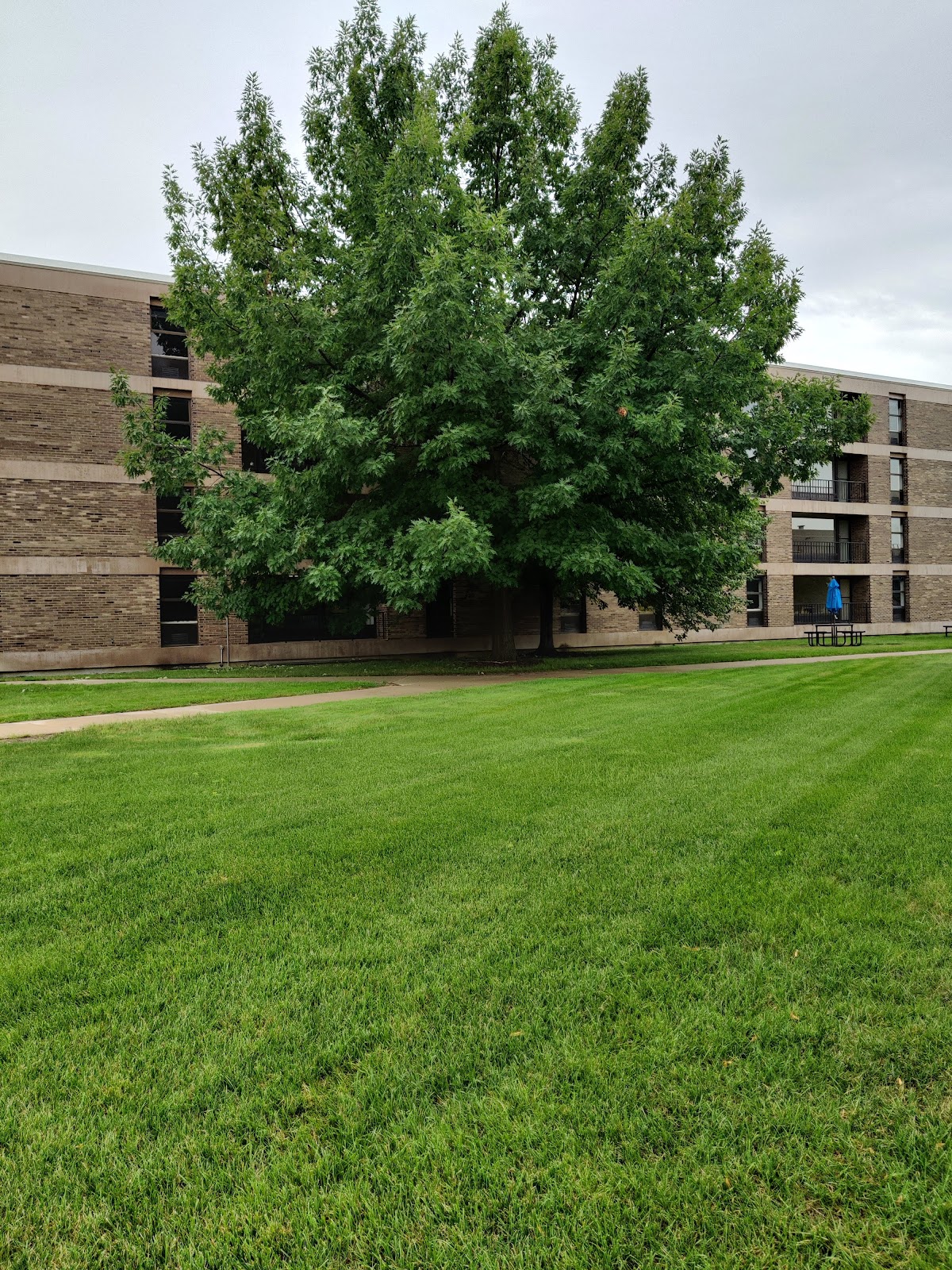 University of Detroit Mercy photo 6