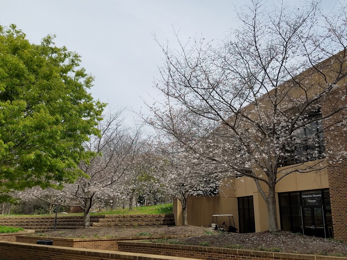 University of Tennessee Chattanooga photo 7
