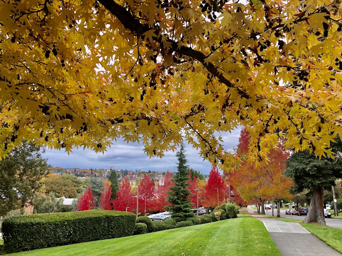 Seattle Pacific University photo 4