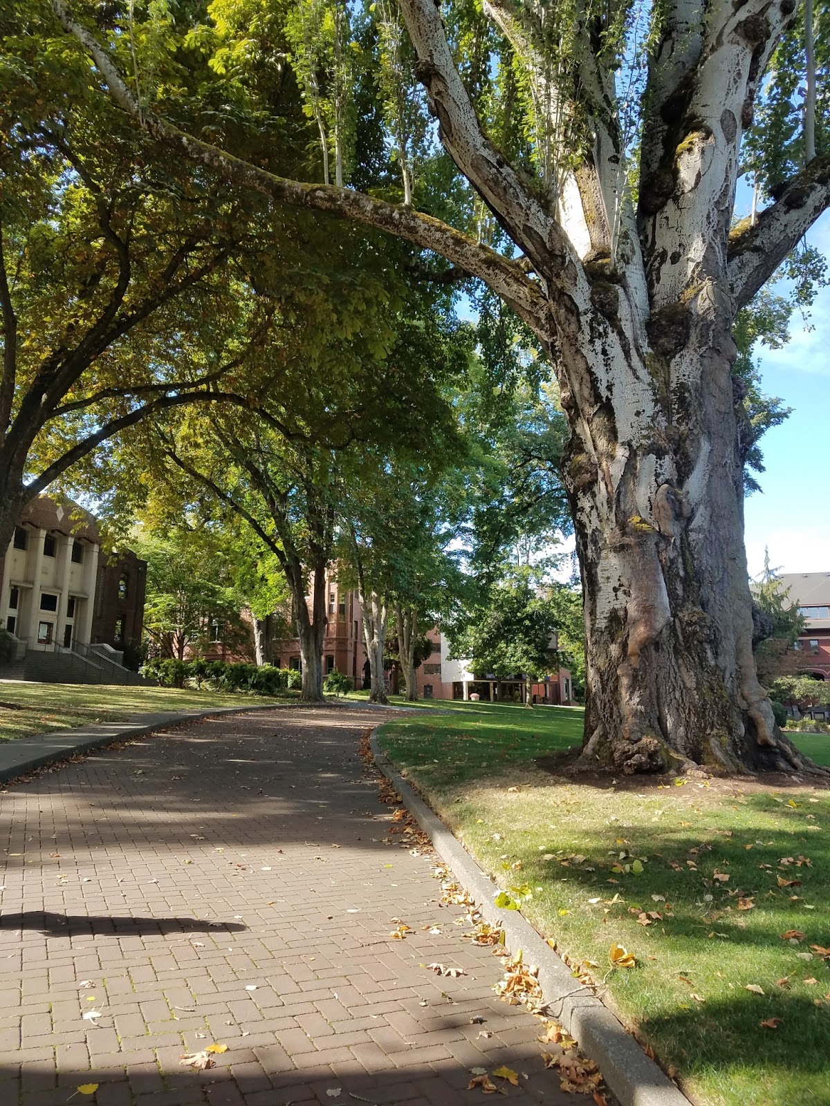 Seattle Pacific University photo 8