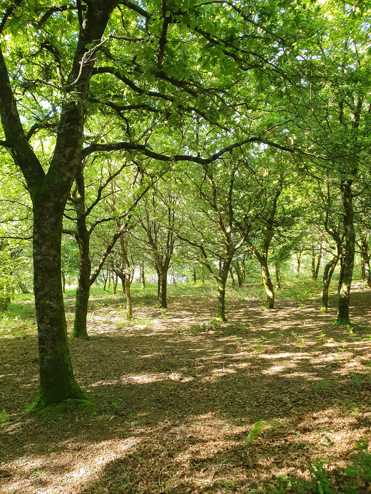 University of Vigo photo 9