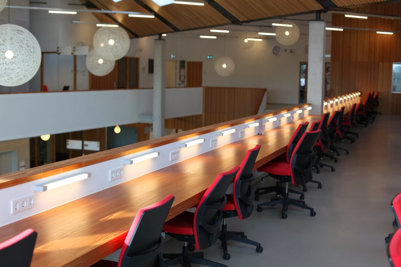 Amsterdam University College