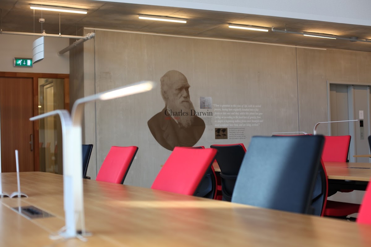 Amsterdam University College photo 7