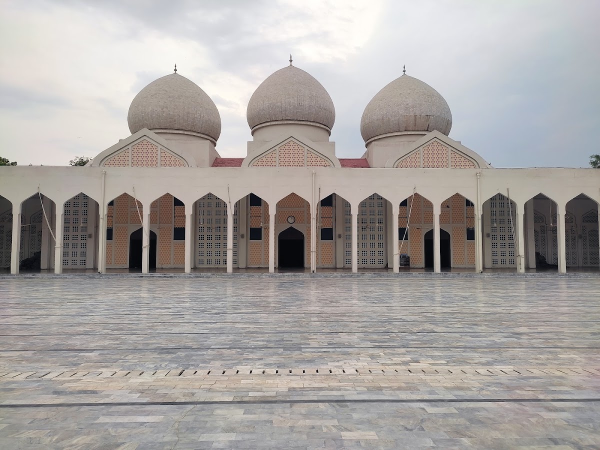 University of the Punjab photo 2