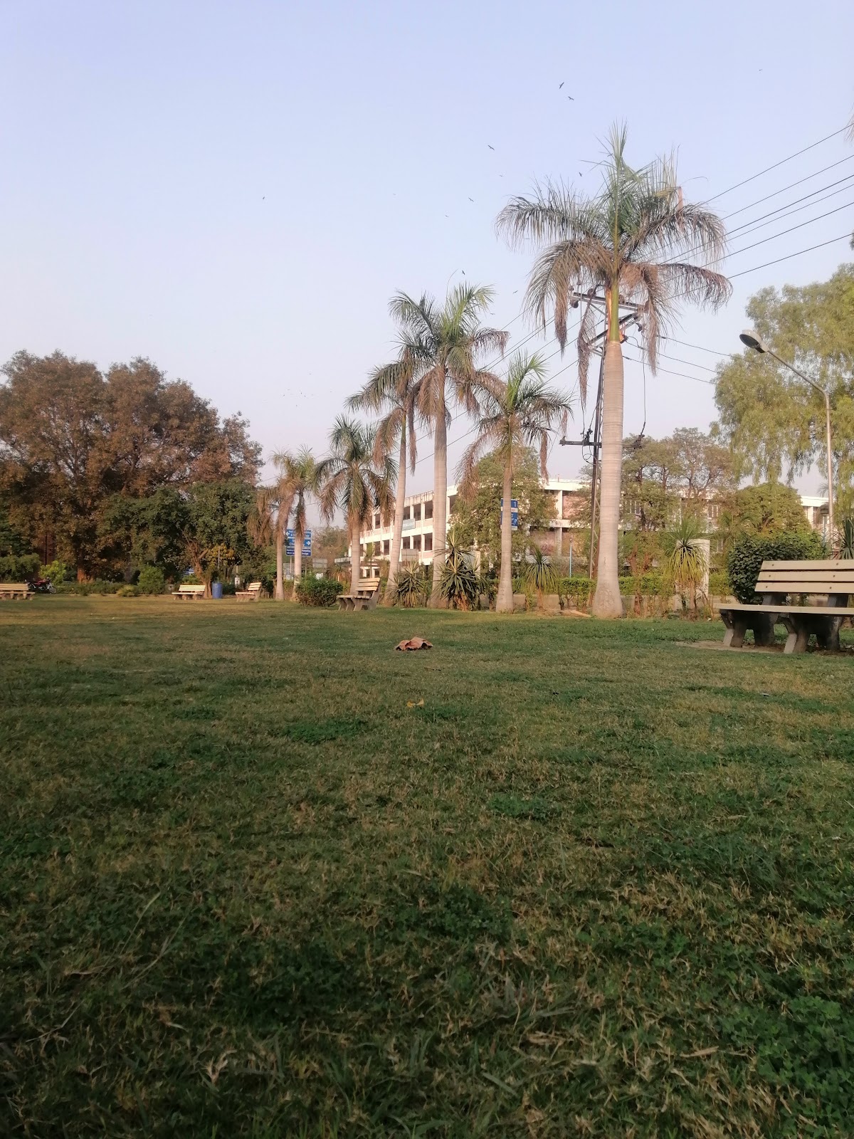 University of the Punjab photo 9