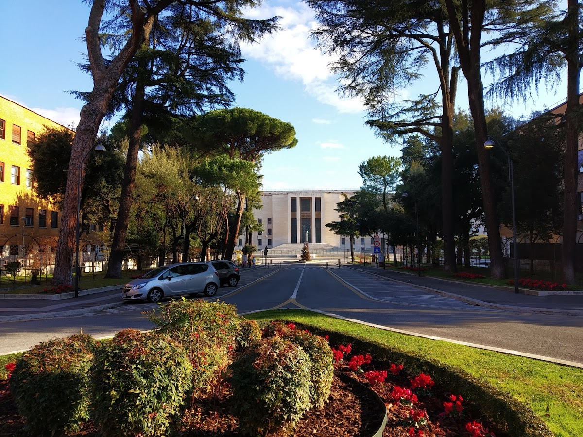 Sapienza University of Rome photo 6