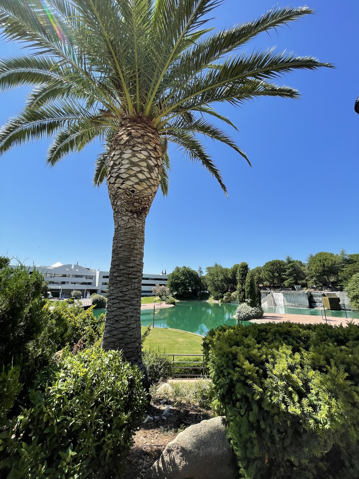 Universidad Europea photo 9
