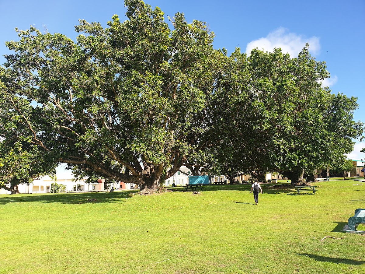 University of Guam photo 6