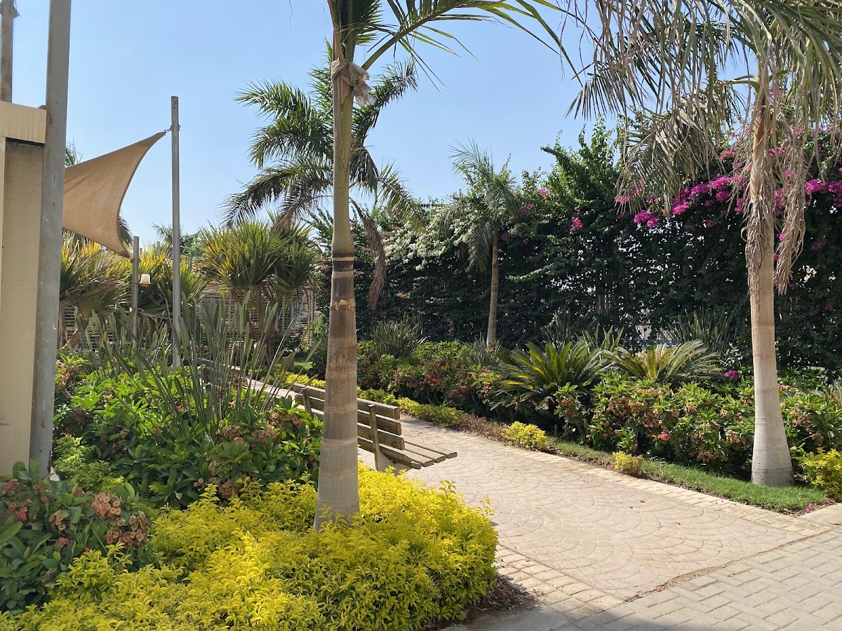 Misr International University photo 5