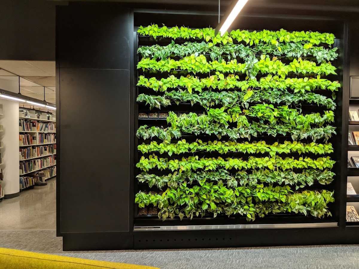 Concordia University photo 5