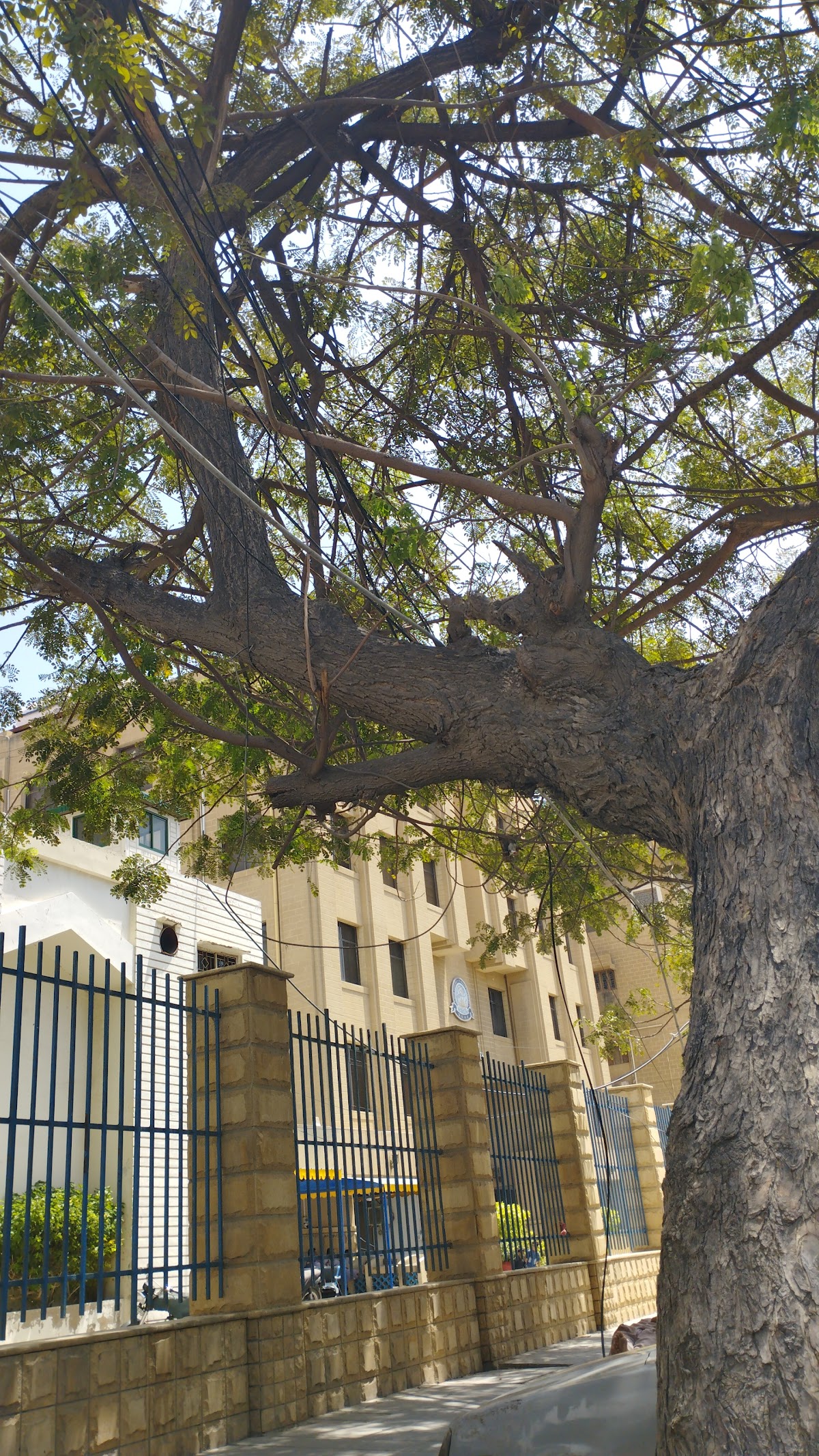 Dow University of Health Sciences photo 8