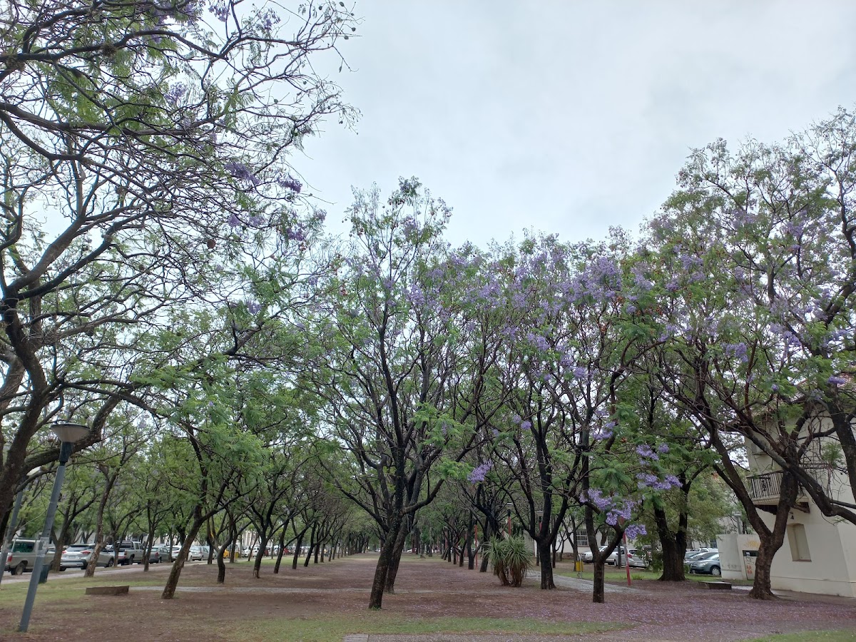 National University of Córdoba photo 4