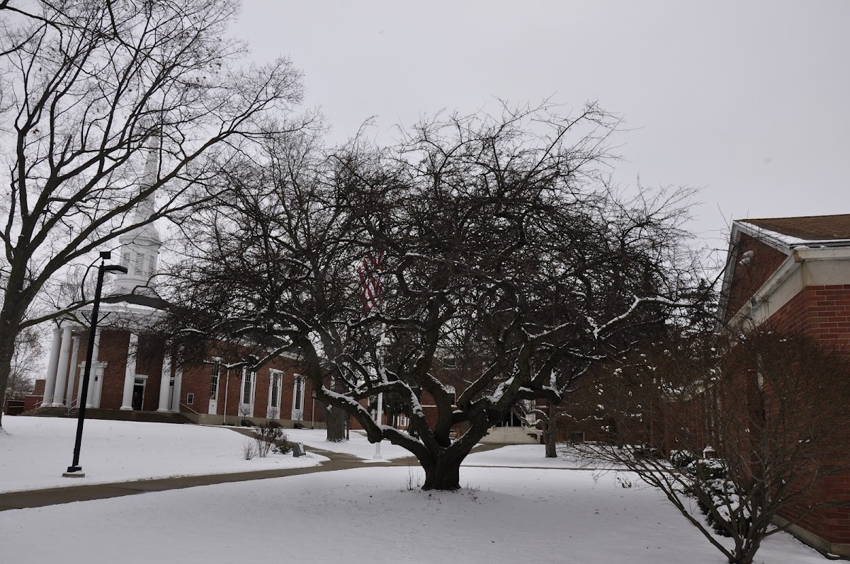 Alma College photo 1