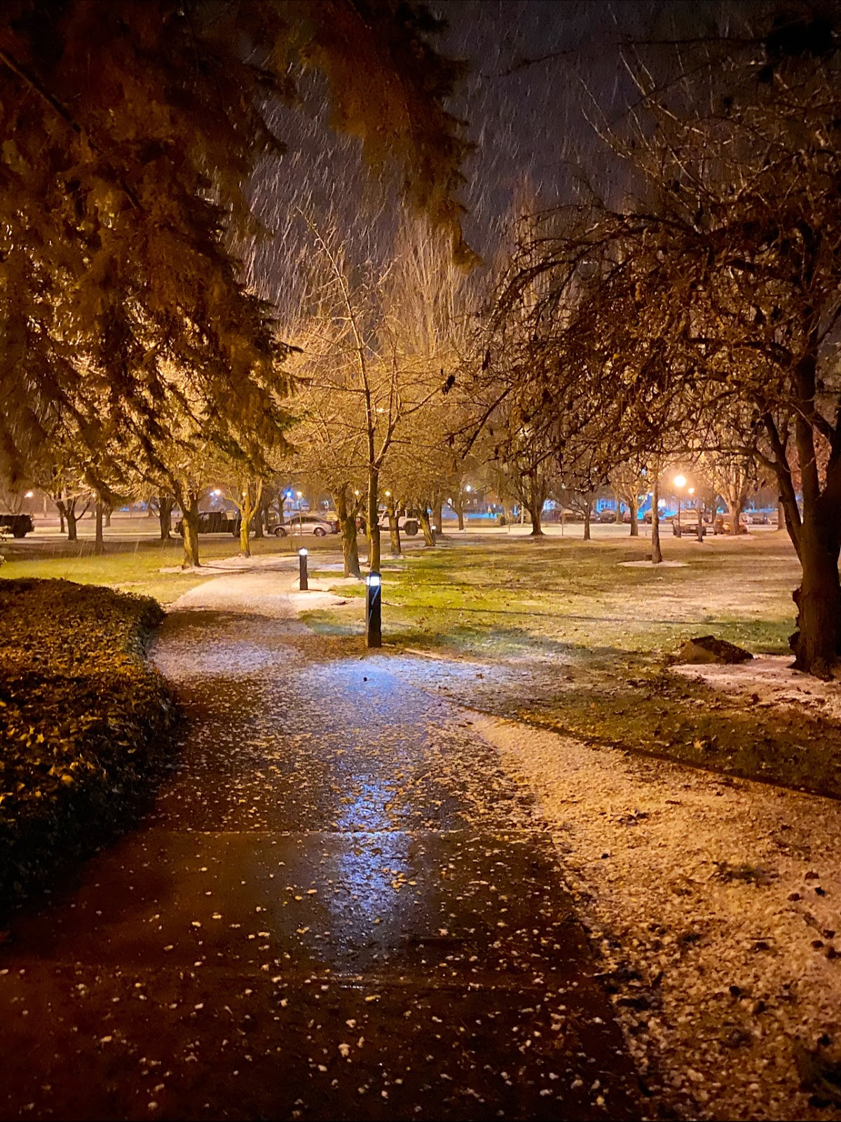 Western Oregon University photo 9