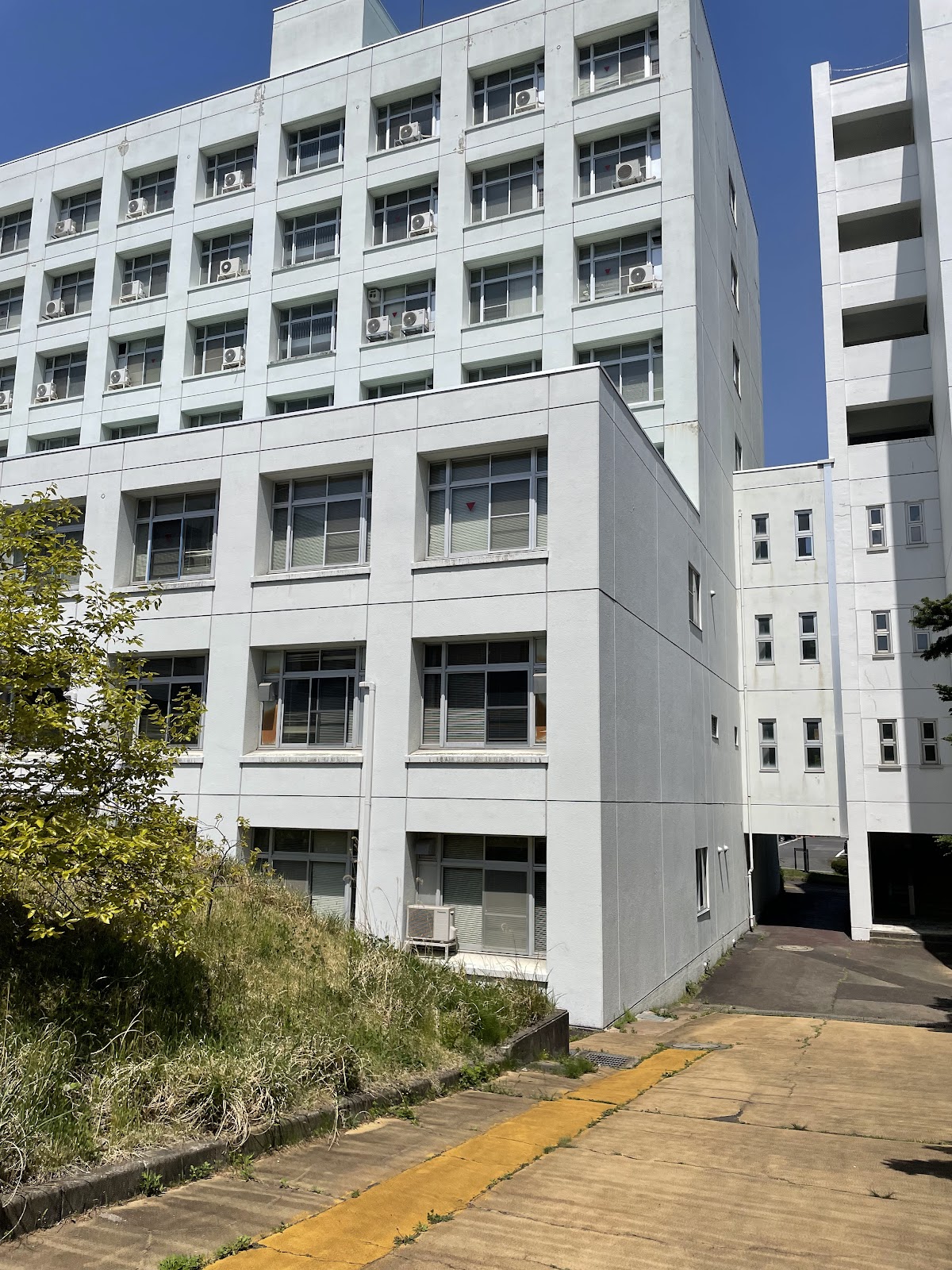 Fukushima University photo 6