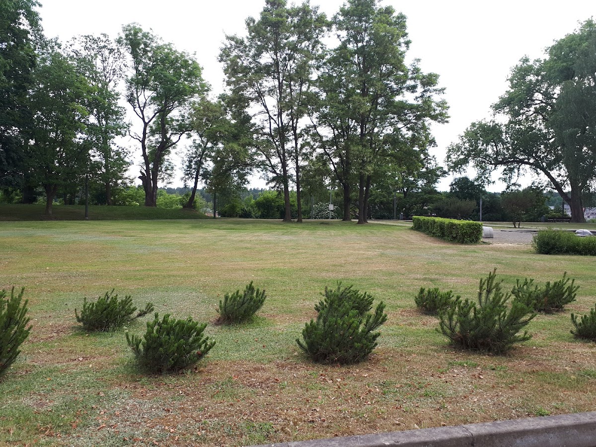 Alytus College photo 4