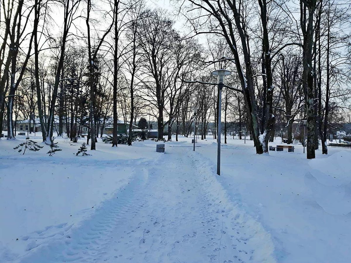 Alytus College photo 5