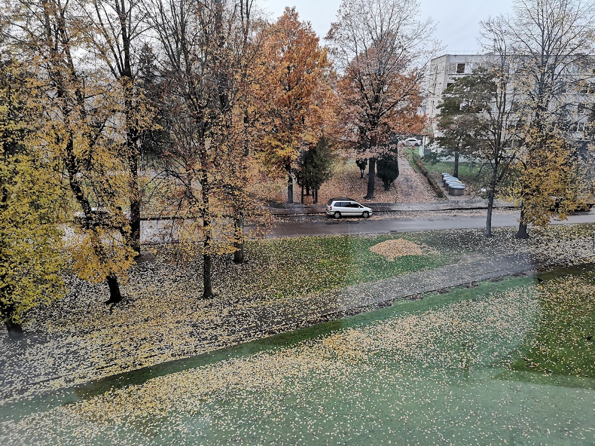 Alytus College photo 6