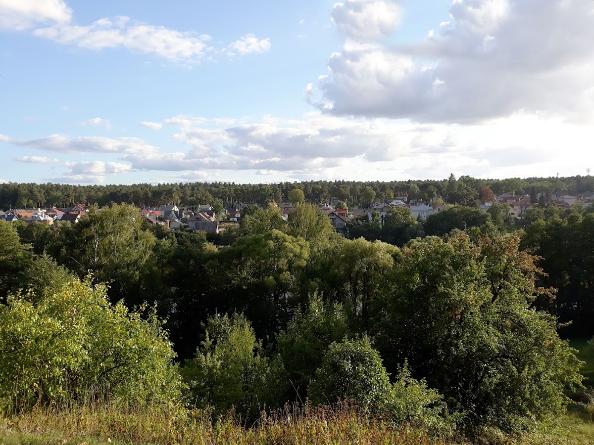 Alytus College photo 7