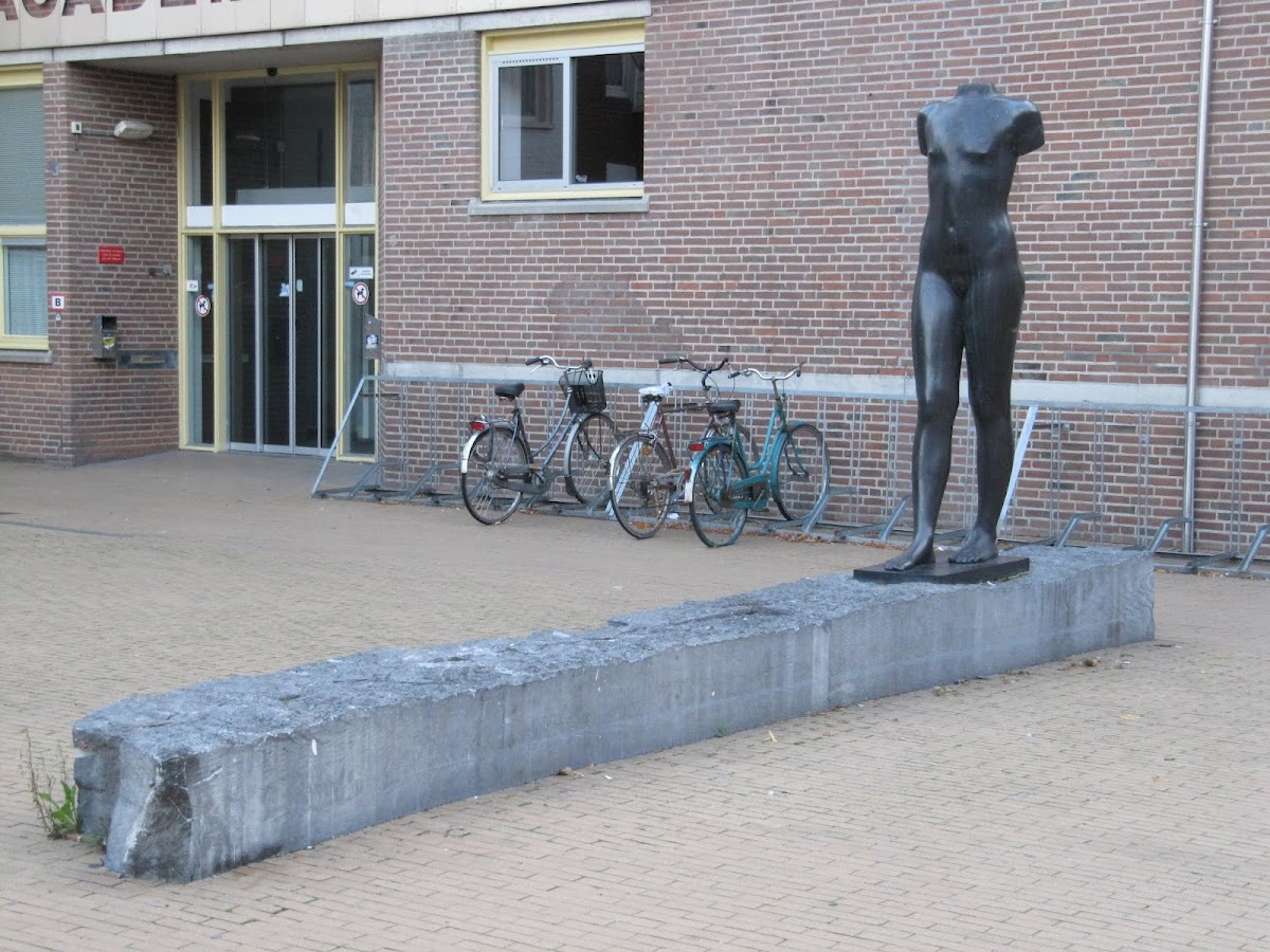 Hanze UAS, Academy Minerva photo 7