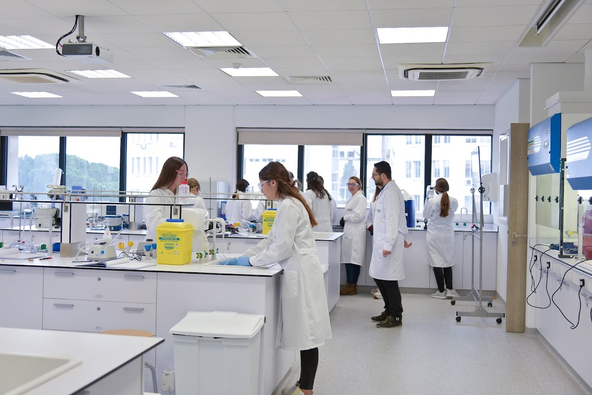 European University Cyprus photo 5