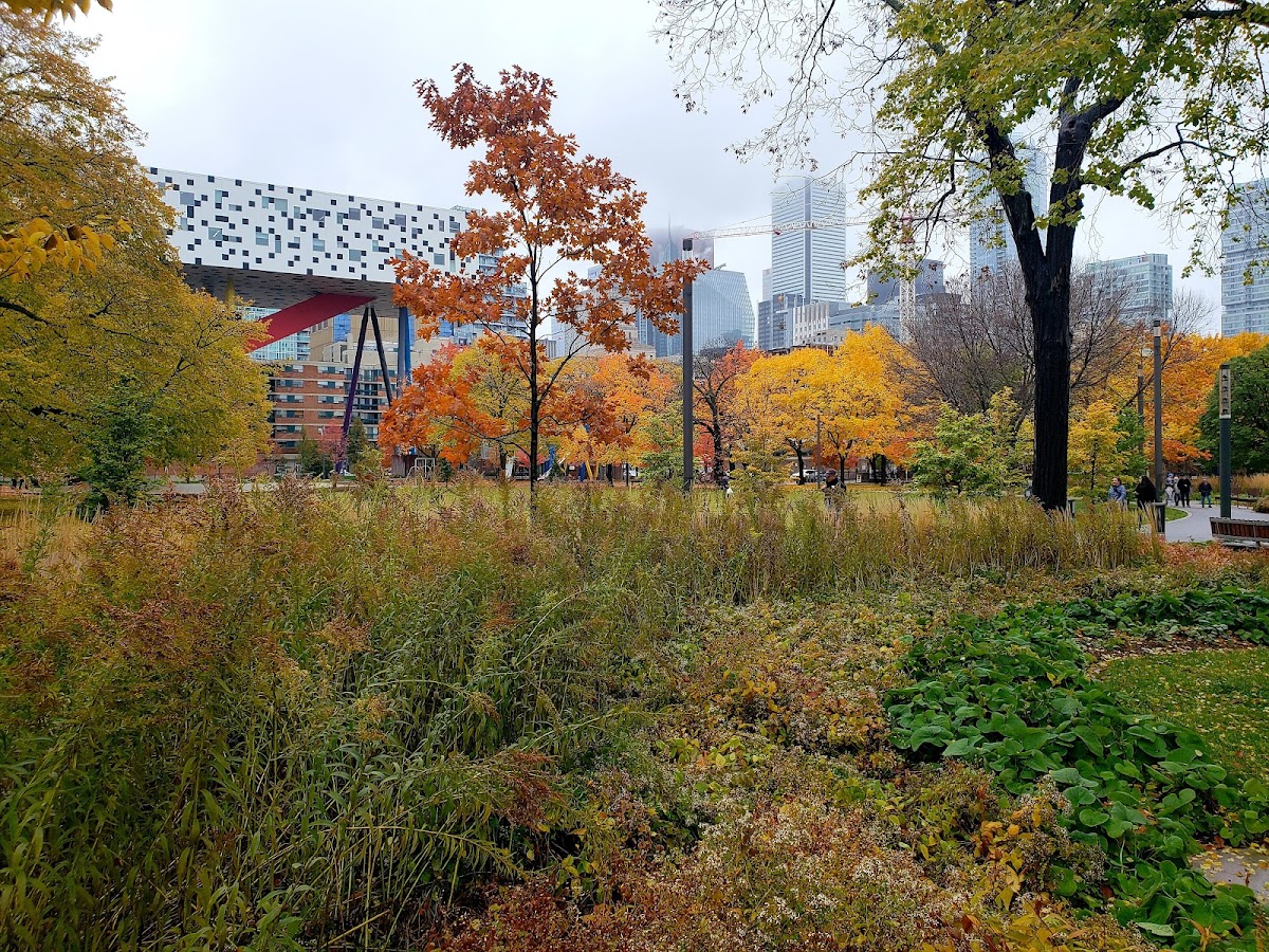 OCAD University photo 3