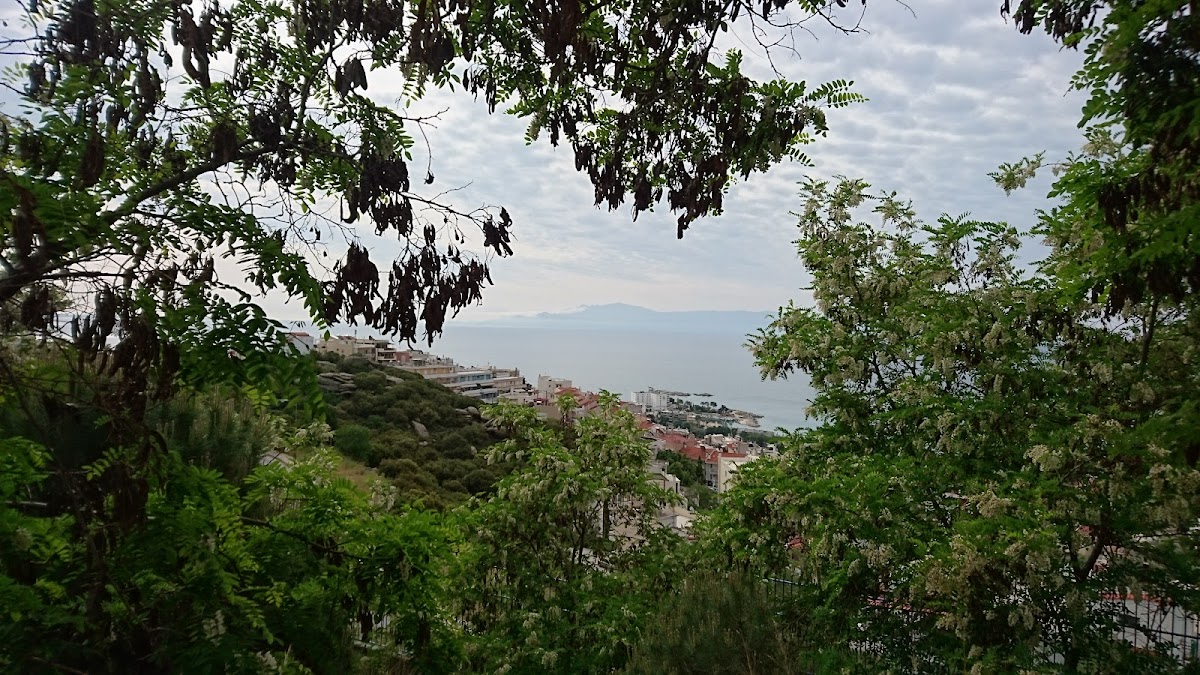 International Hellenic University (Kavala) photo 2