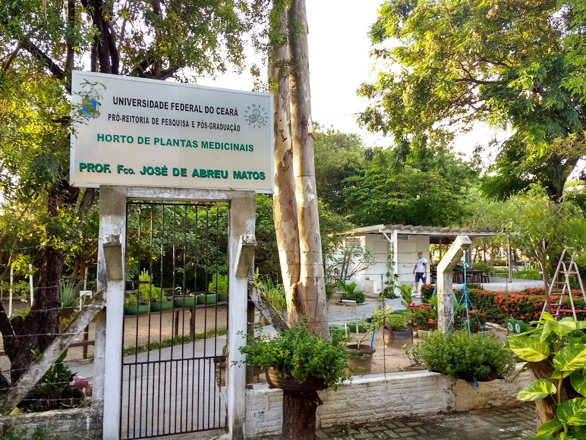 Federal University of Ceará photo 4