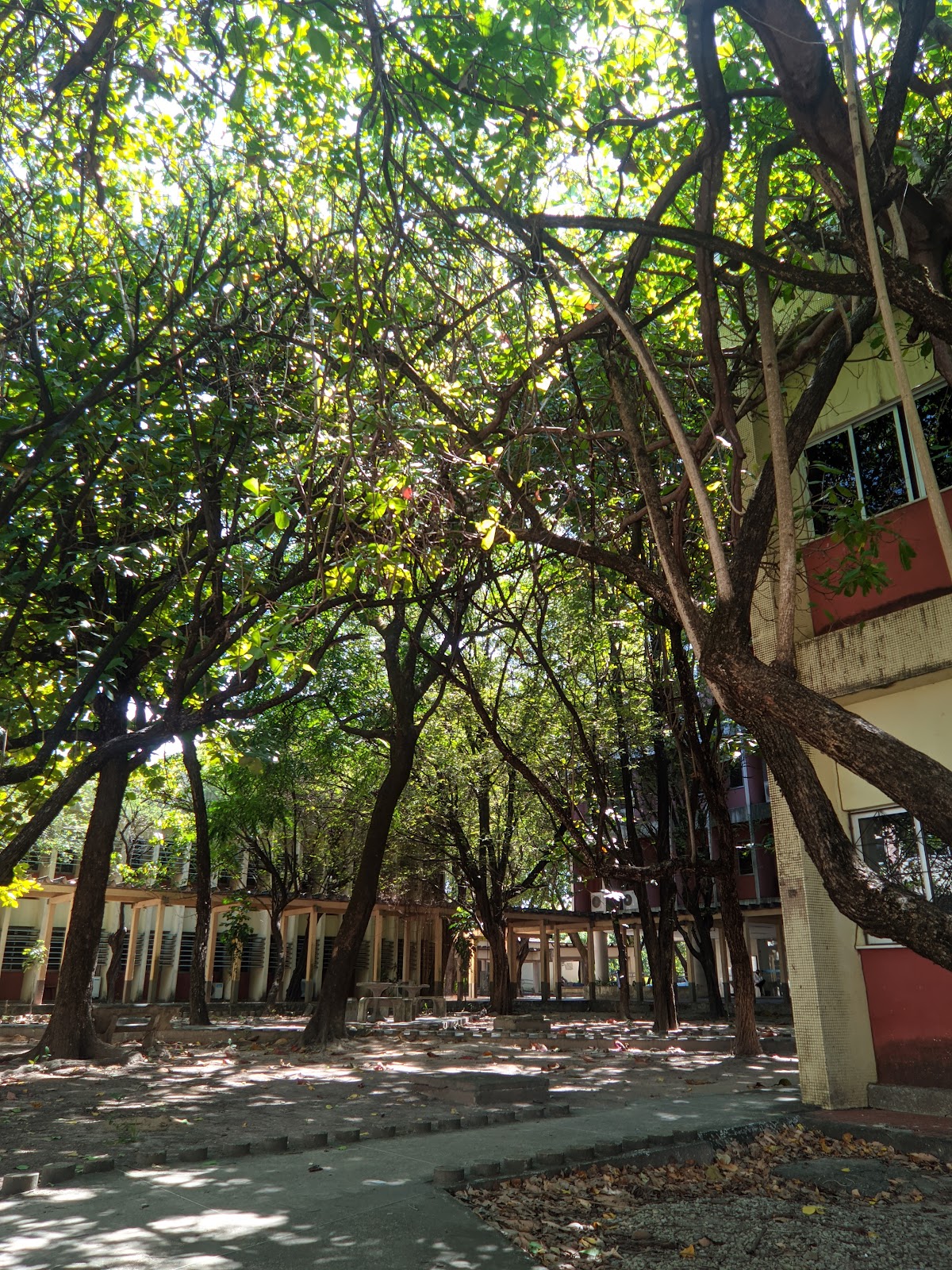 Federal University of Ceará photo 5