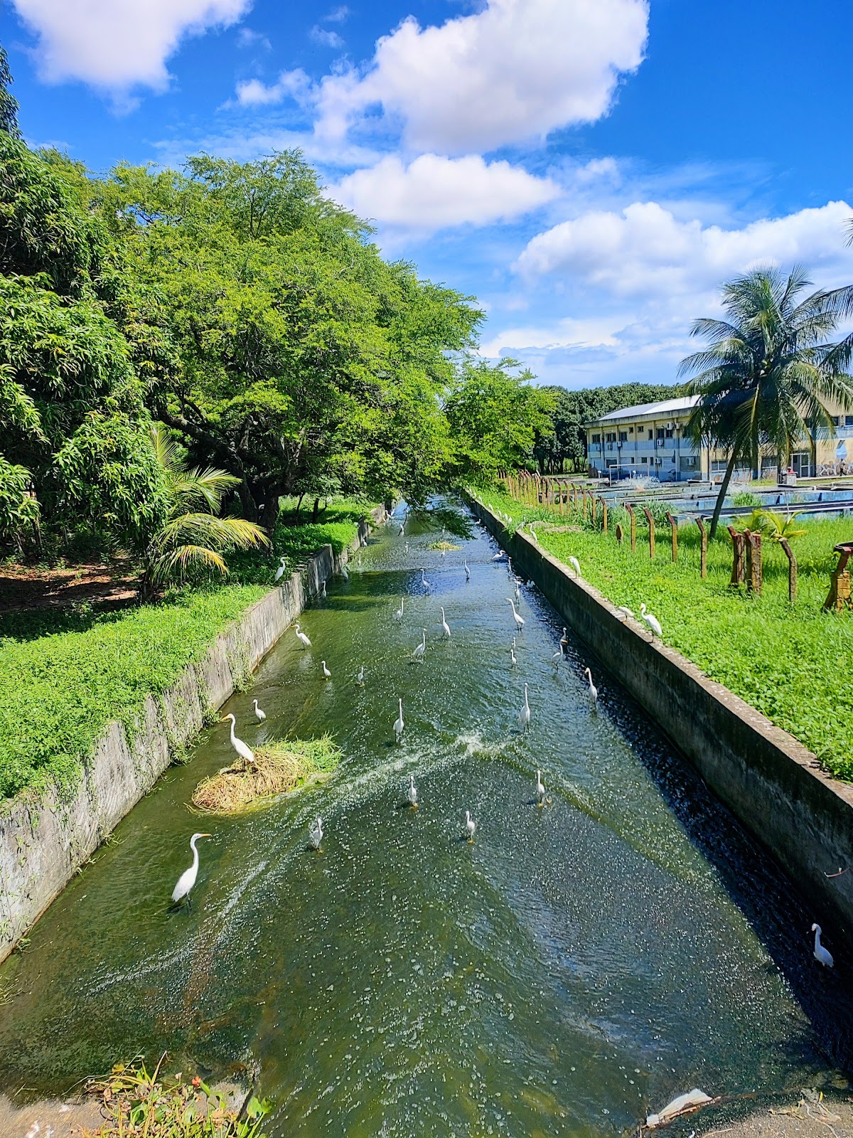 Federal University of Ceará photo 6
