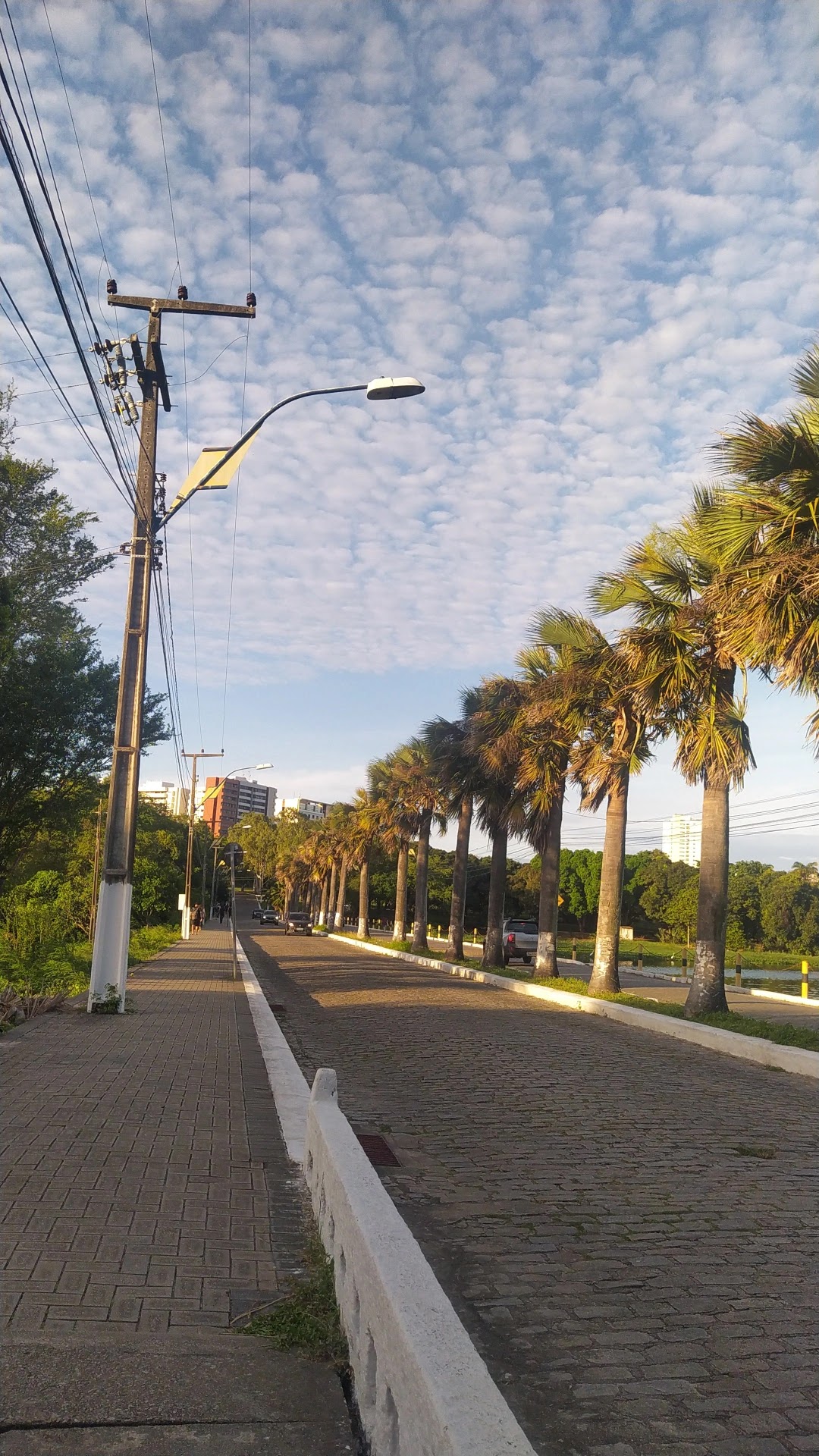 Federal University of Ceará photo 9