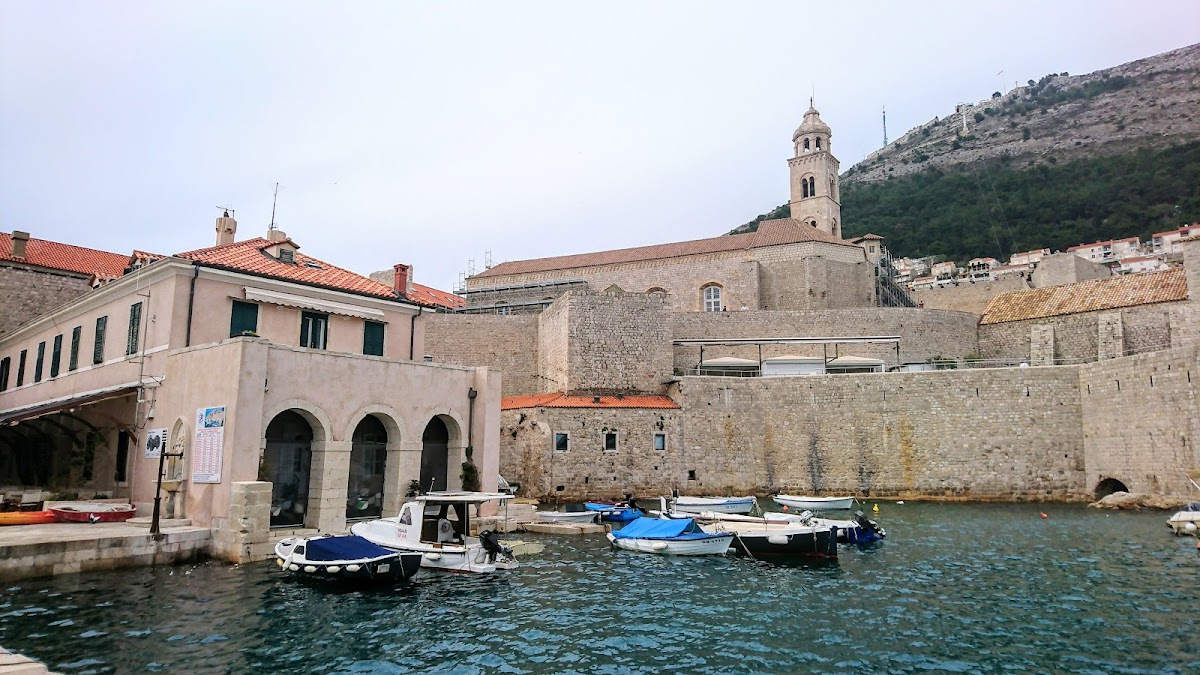 Dubrovnik International University photo 1