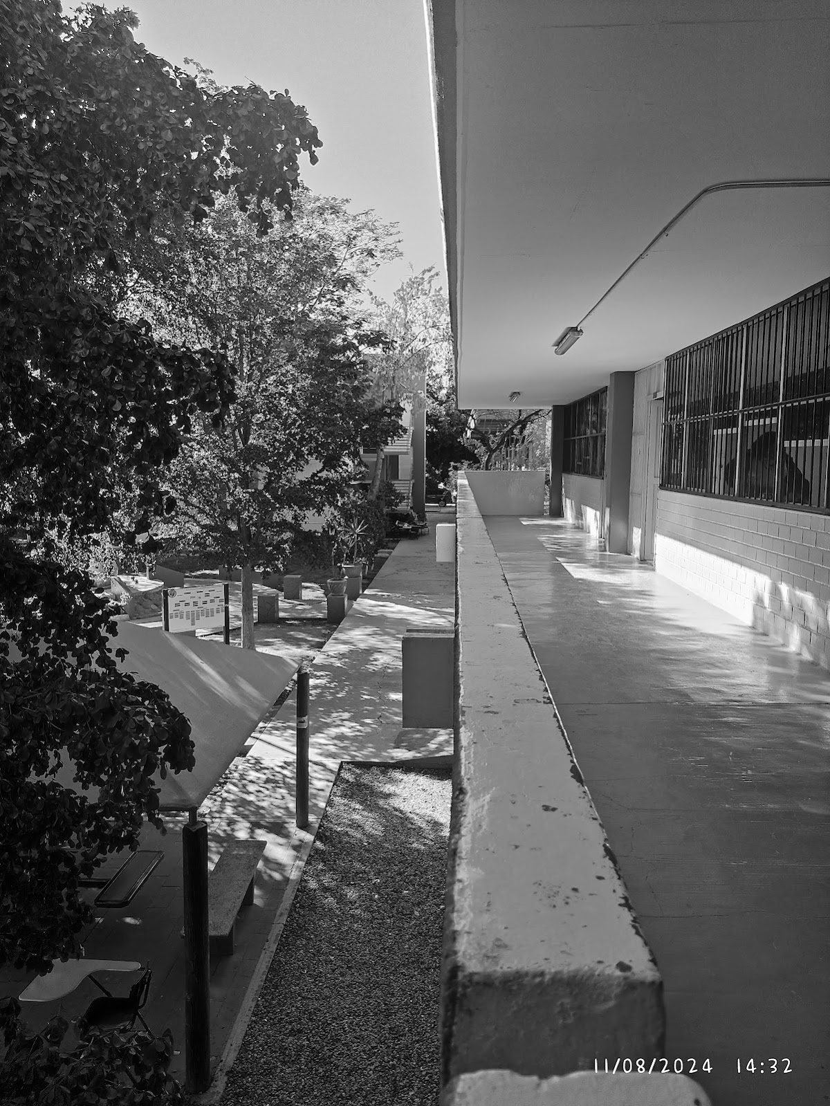 University of Sonora photo 6