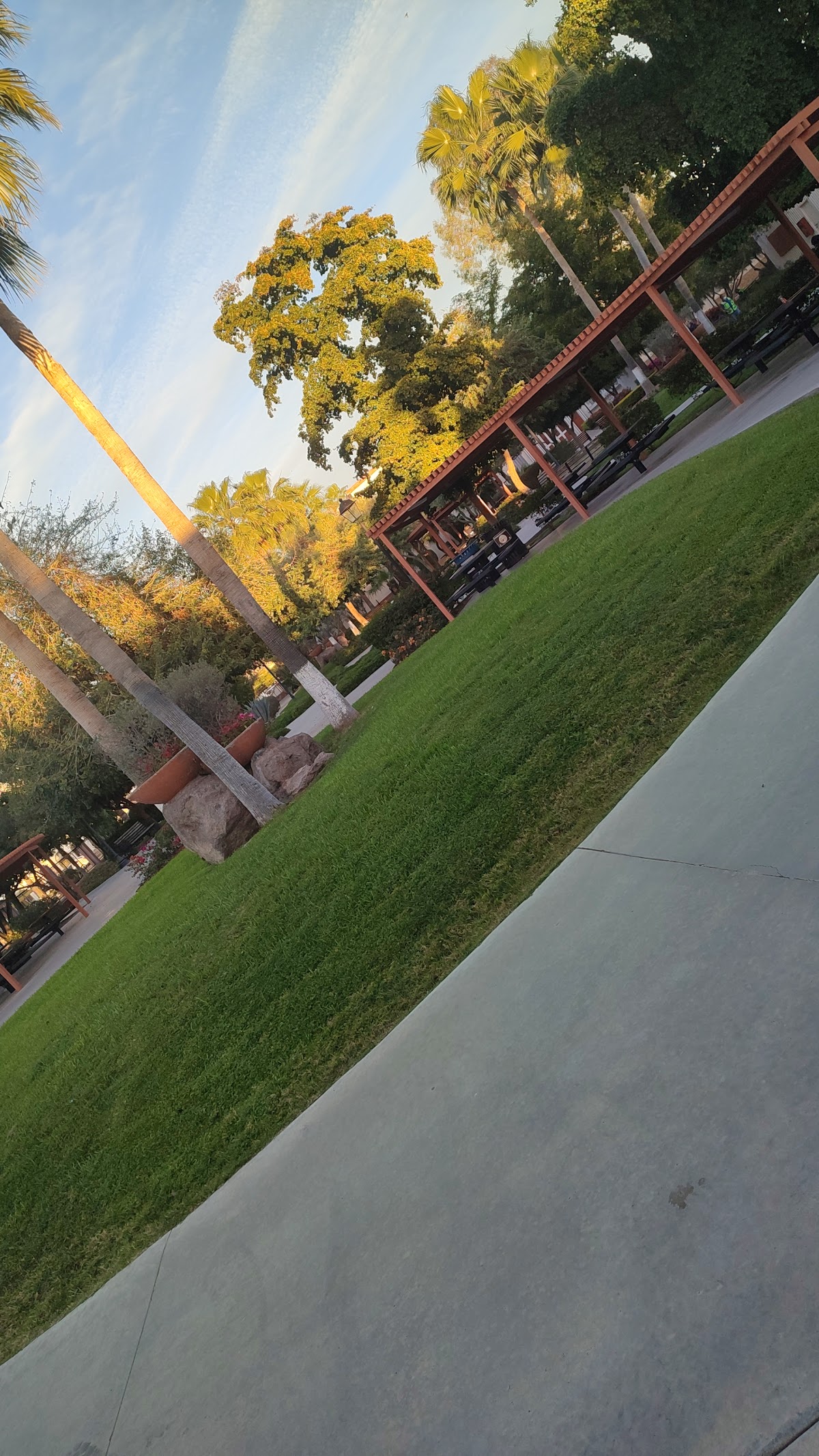 University of Sonora photo 9