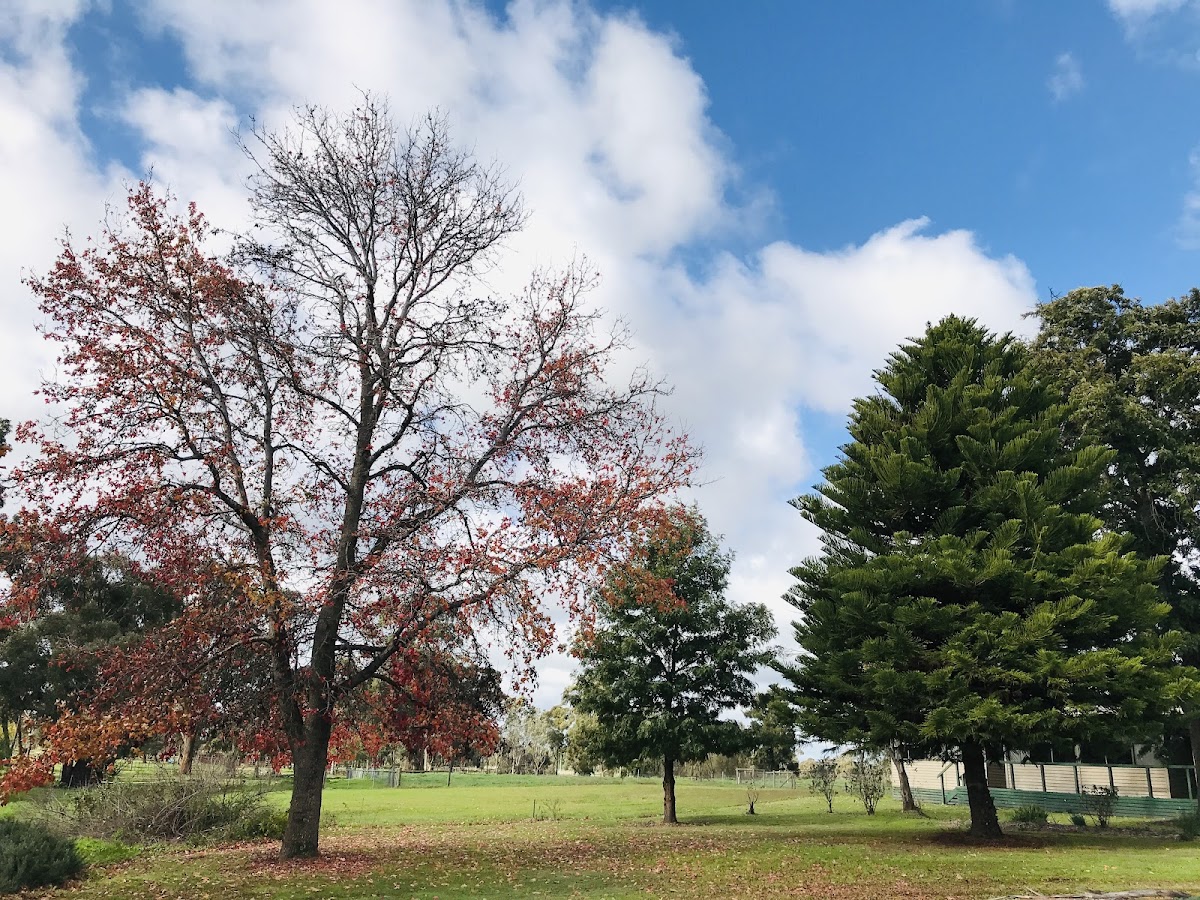 Goulburn Ovens Institute of TAFE photo 6
