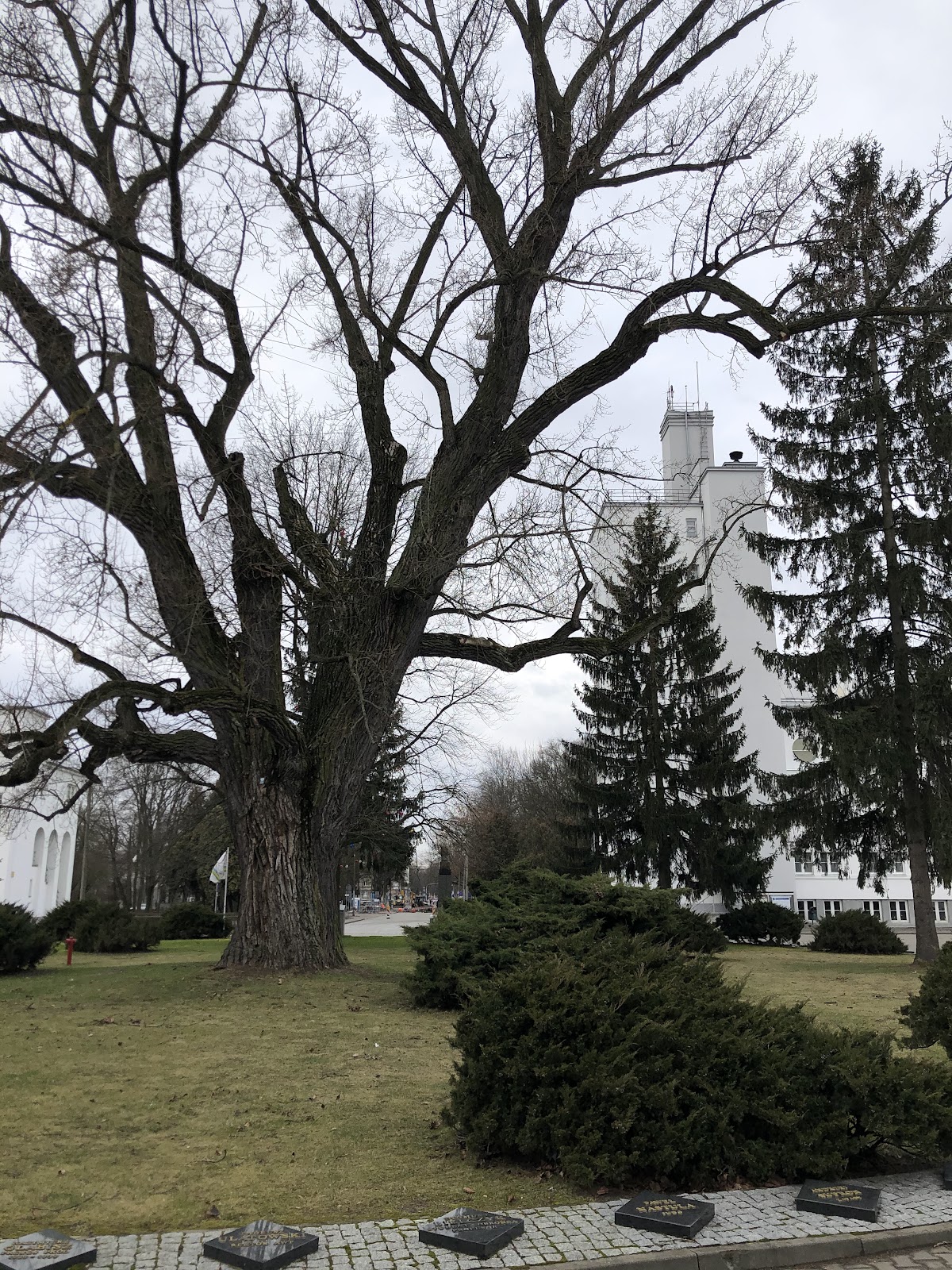 The University of Physical Education in Warsaw photo 7