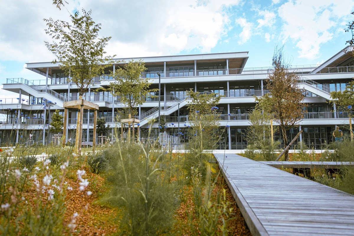 emlyon business school photo 5