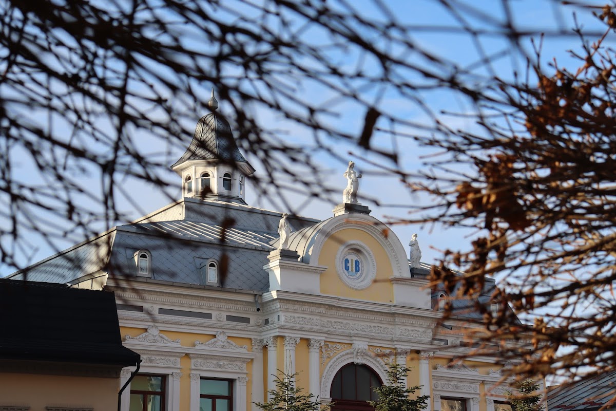 Constantin Brâncuși University of Târgu Jiu photo 1