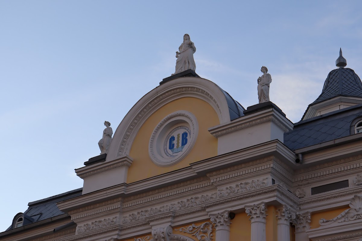 Constantin Brâncuși University of Târgu Jiu photo 3