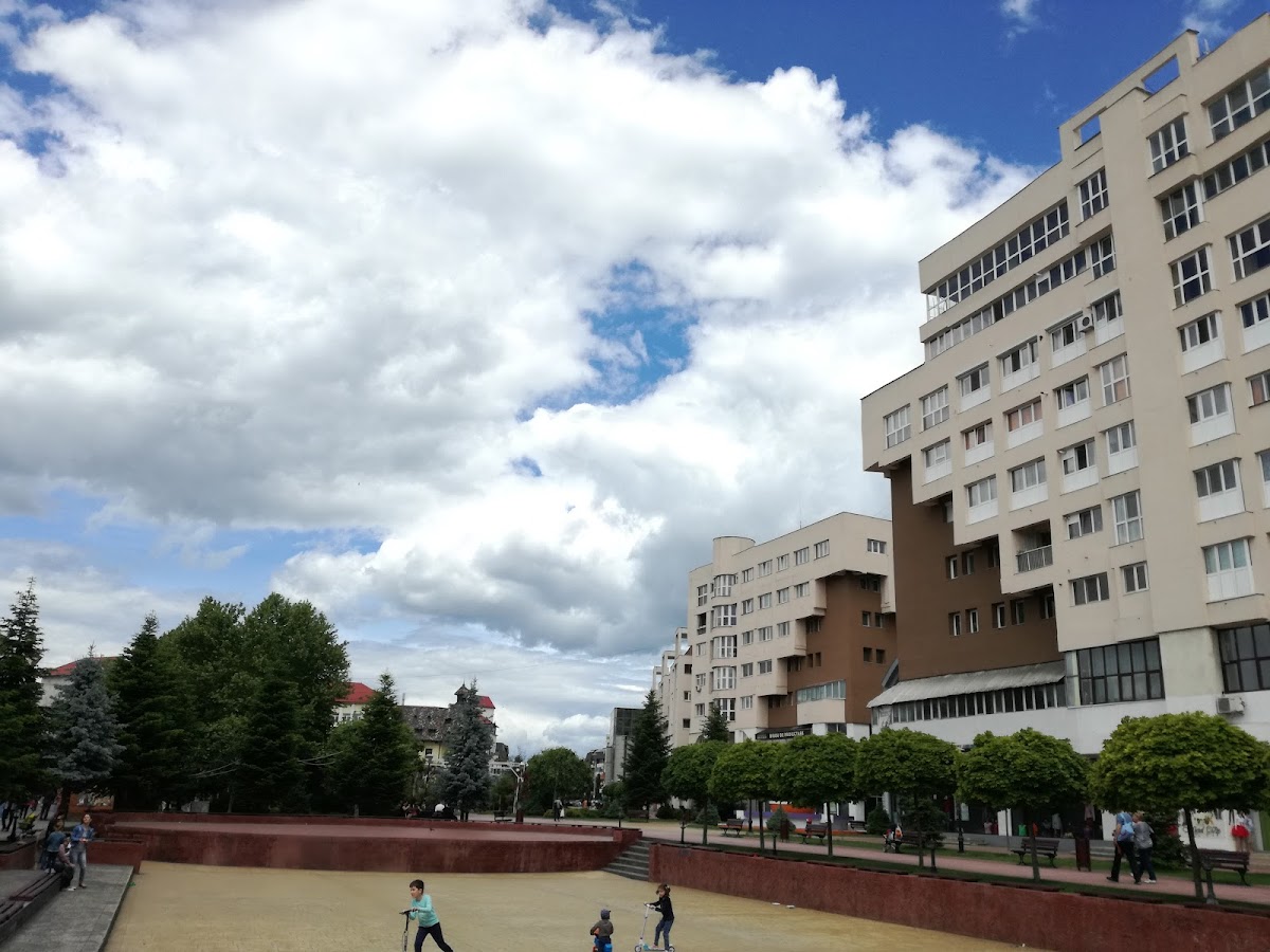 Constantin Brâncuși University of Târgu Jiu photo 6