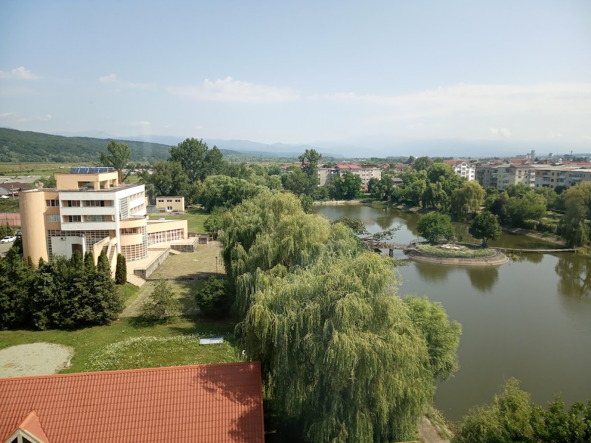 Constantin Brâncuși University of Târgu Jiu photo 7