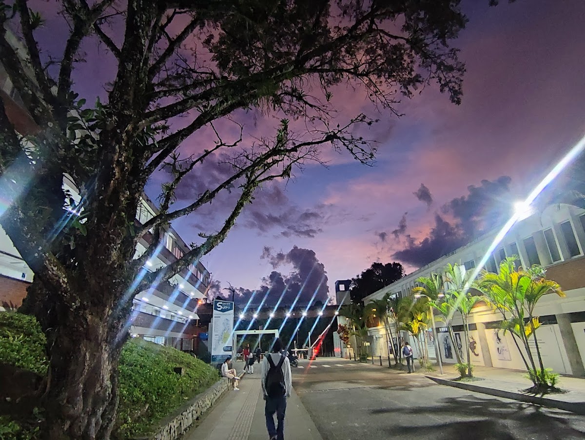 Universidad Tecnológica de Pereira photo 7
