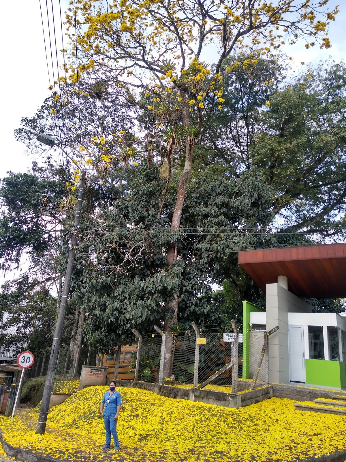 Universidad Tecnológica de Pereira photo 8