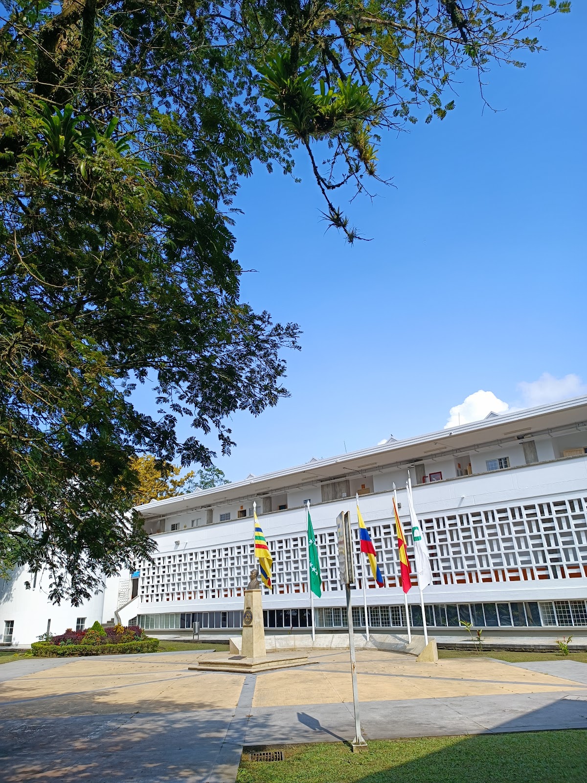 Universidad Tecnológica de Pereira photo 9