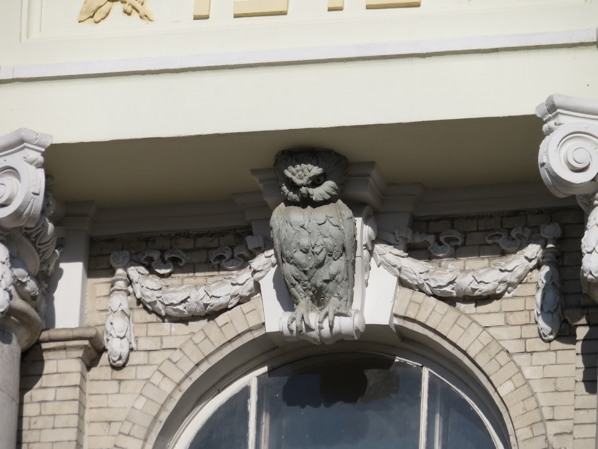 Saratov State University photo 8