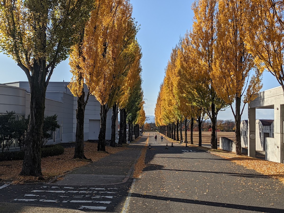 University of Aizu photo 3
