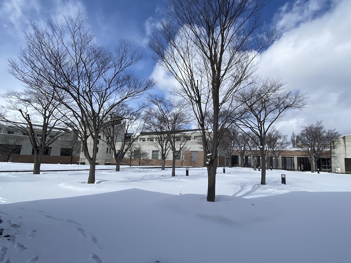 University of Aizu photo 4